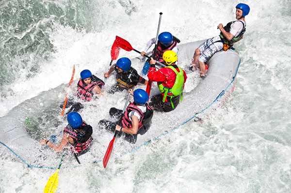 Teamwork in Action
